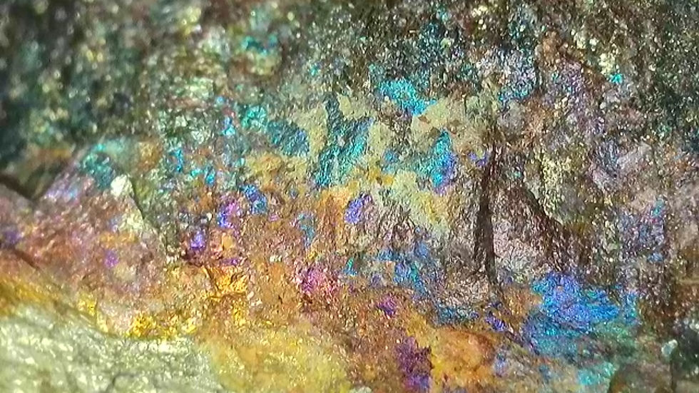 Thumbnail: Uraninite, Andersonite, Chalcopyrite, Pyrite and More on Top Quality Specimen!