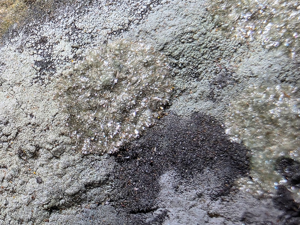 Thumbnail: Rare Arsenic Mineral Fulbrightite on Uraninite