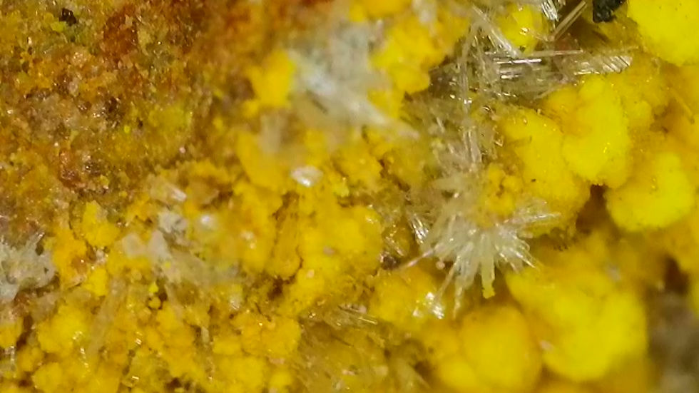 Thumbnail: 🔥 1.2 Million Mi Vida Mine Gorgeous Uraninite with Bright Yellow UV Crystals