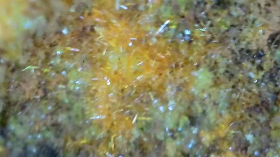 Thumbnail: Top Grade Soddyite Crystals with Curite and Uraninite from Shinkolobwe Mine