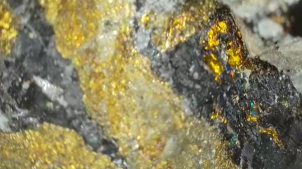 Thumbnail: Golden Chalcopyrite with Andersonite, Natrozippeite, and Pyrite from Utah
