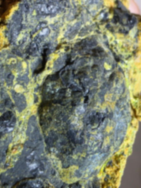 Extremely Rare American Botryoidal Uraninite Formation  900,000 cpm!!