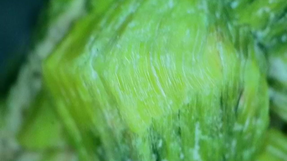 Thumbnail: Large and Well-Preserved Vintage Daybreak Mine Autunite
