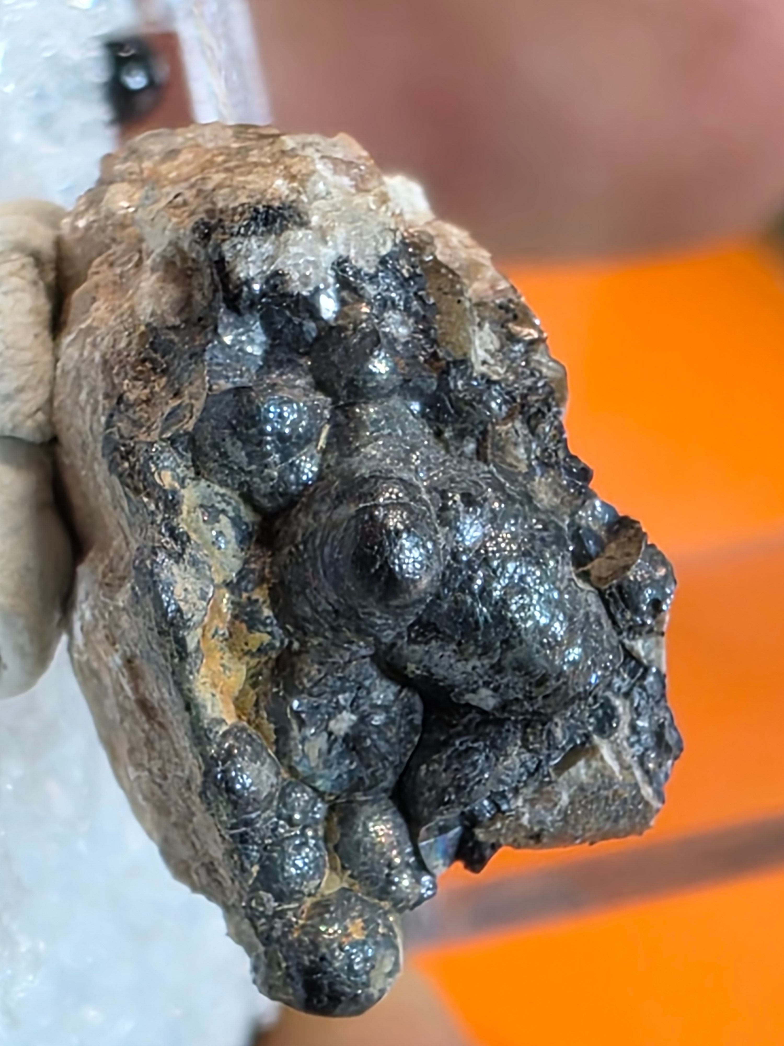 Botryoidal Uraninite in Display Box 75kcpm on RC110