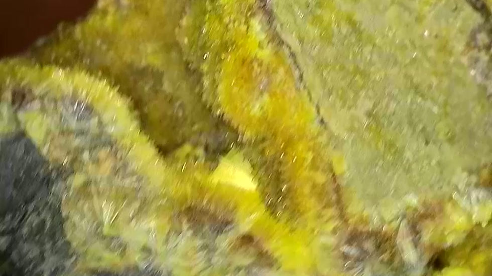 Thumbnail: Crystallized Uraninite with Uranophane with Minor Curite