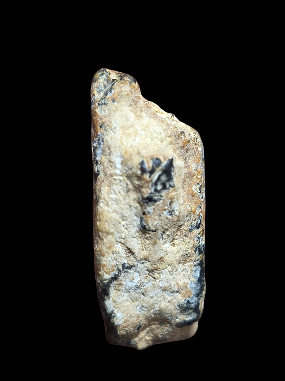 Thumbnail: Large 200,000 cpm Thorite Crystal from Myanmar 7.7 Grams