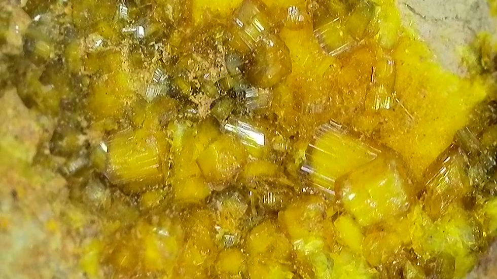 Thumbnail: RARE! Swamboite (Nd) from Type Locality Swambo Hill with Soddyite 370,000 cpm 