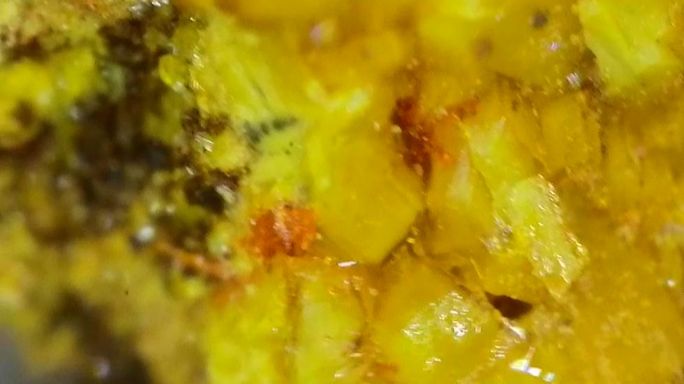 Thumbnail: Top Grade Soddyite Crystals with Curite and Uraninite from Shinkolobwe Mine