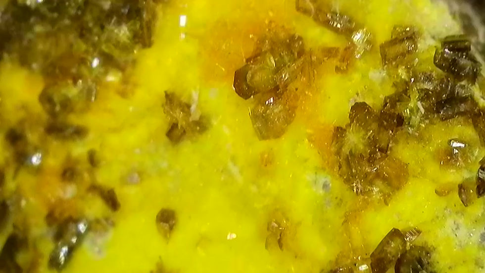 Thumbnail: RARE! Swamboite (Nd) from Type Locality Swambo Hill with Soddyite 370,000 cpm 