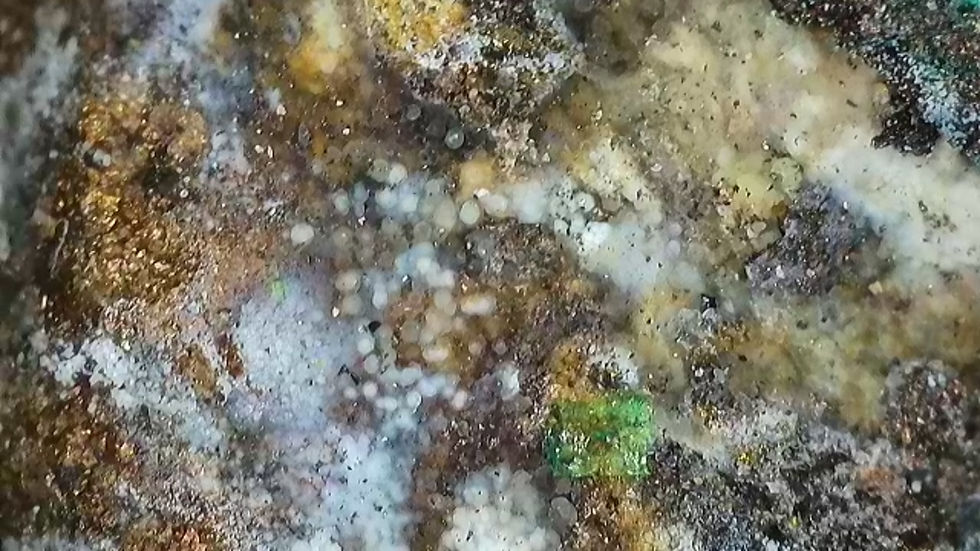 Thumbnail: Golden Chalcopyrite with Andersonite, Natrozippeite, and Pyrite from Utah