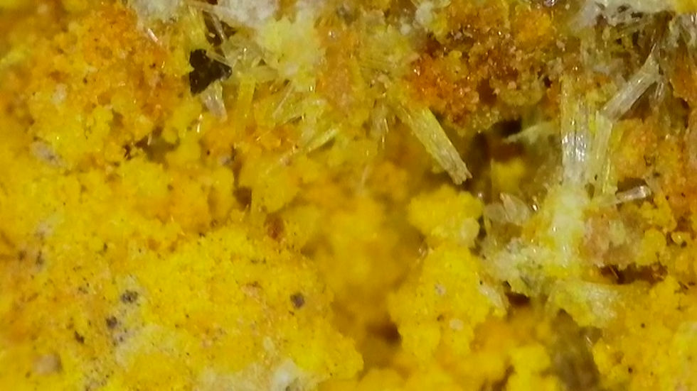 Thumbnail: Very Rich Mi Vida Uraninite + Natrozippeite with Uranopilite and Gypsum Crystals