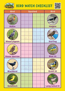 Bird.jpg.jpeg
