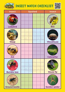 Insect.jpg.jpeg