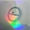 0000000 N.L.P.G.R. - Official Hologram SM For Plaque Placement.jpg