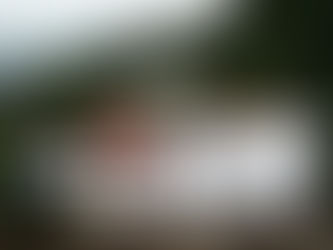 Del dolor al milagro