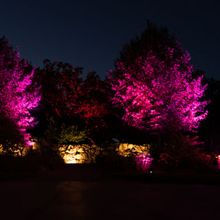 Cole Tetrault Photography DJ.Wedding (20).jpg