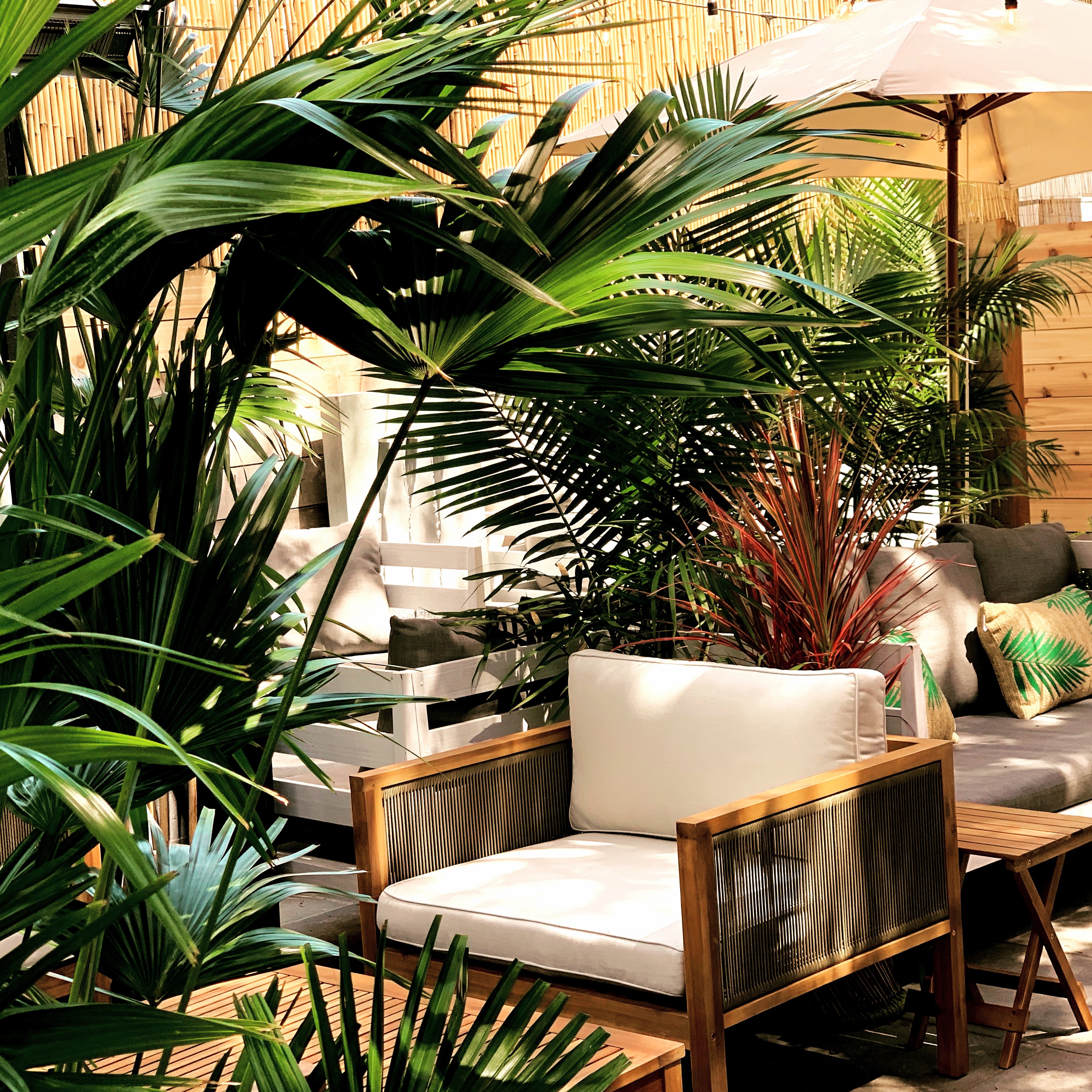Tropical Outdoor Lounge_edited