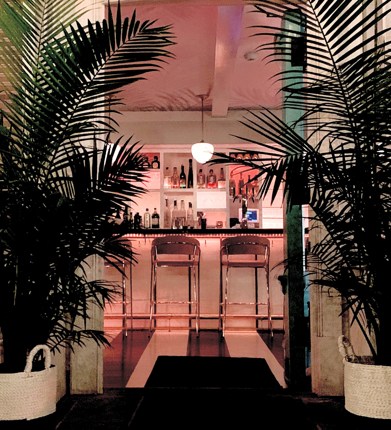 American Beech Bar Entrance