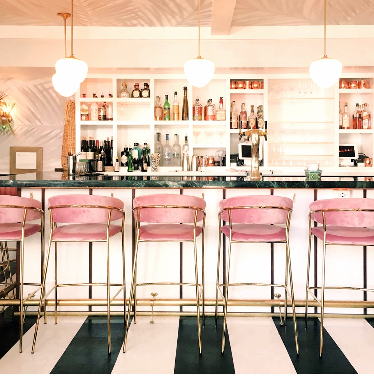 BAR American Beech_edited