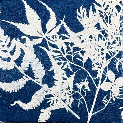 Cyanotypes