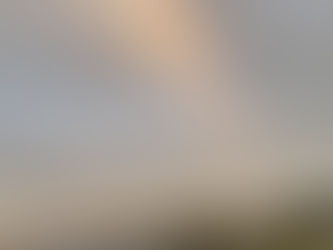 EN MOBILFRI DAG
Jeg utfordrer herved alle foreldre om å ta en hel dag uten mobiltelefonen i nærheten