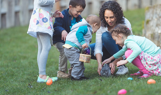 Egg Hunting