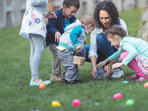 Egg Hunting