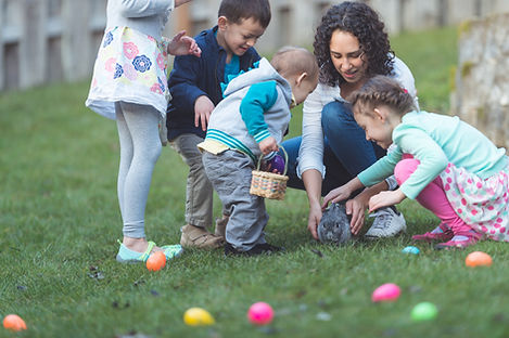 Egg Hunting