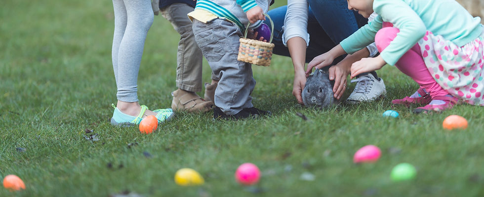 Egg Hunting