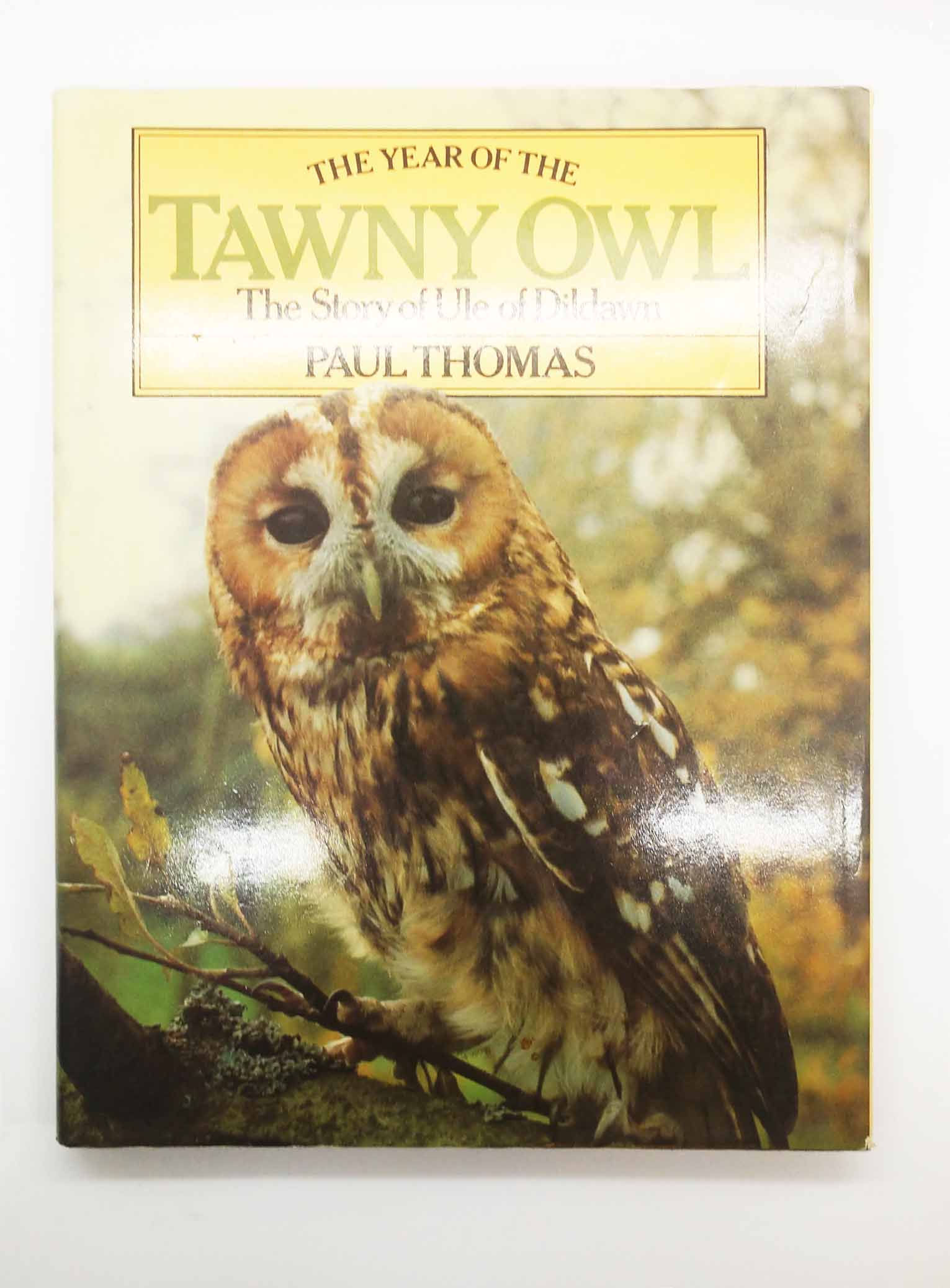 The Year of the Tawny Owl: The Story of Ule of Dildawn by Paul Thomas