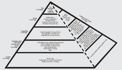 Piramide Vegetariana Nordamericani