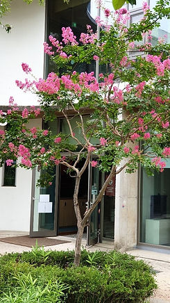 KakaoTalk_20220722_120453776_01.jpg