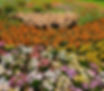 cropgarden.jpg