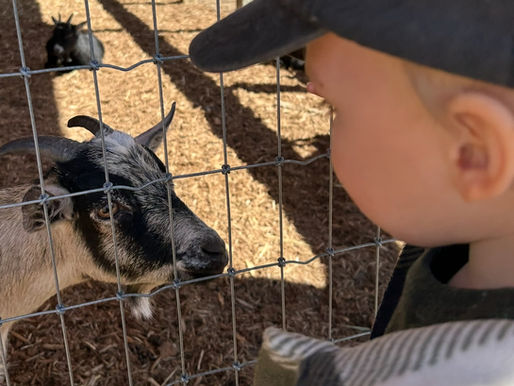 The Boy I Never Knew I Needed