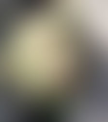 Fun Facts Behind Familiar Phrases