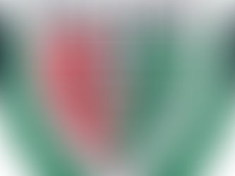 Palme FC: onde os ordenados são "tainadas" e até o presidente joga