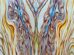 What Remains - When Bone Becomes River - left panel diptych (Cat#3282-001) detail 1