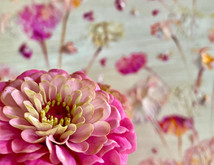 New Quietude Series