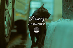 Cover image for Passing, a flash fiction story by Alyssa Durst