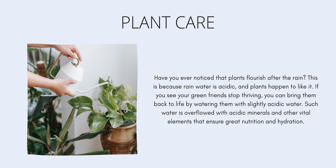 General wellbeing-7.png