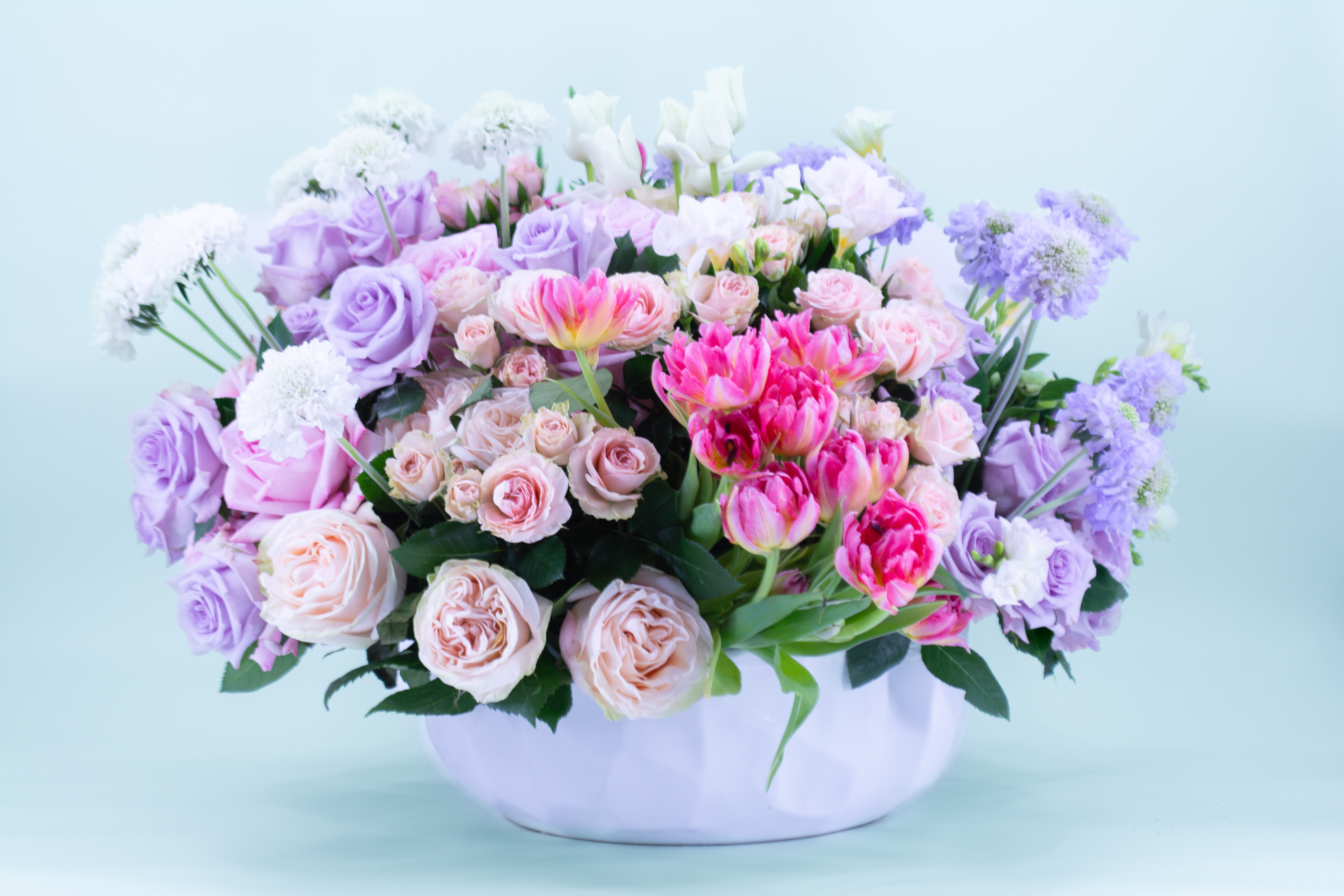 Lush and Pretty