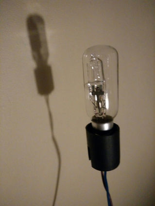 Apollo: eerste onderzoek mannetje