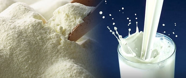 leche_polvo.jpg