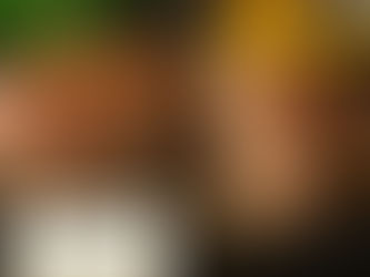 オリーブ牛ハンバーグ