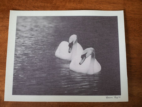 canvas print collection
