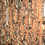 Thumbnail: Brown Fennel Cork Fabric by the yard - 57"L x 36"W