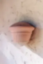 ege duvar saksısı