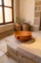 üzüm çanağı