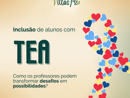 Saberes e práticas docentes na educação de alunos com TEA: desafios e possibilidades