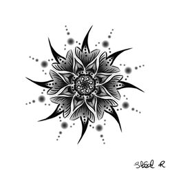 2264F4DC-F11F-4883-A044-B3E36FB29B51.jpeg